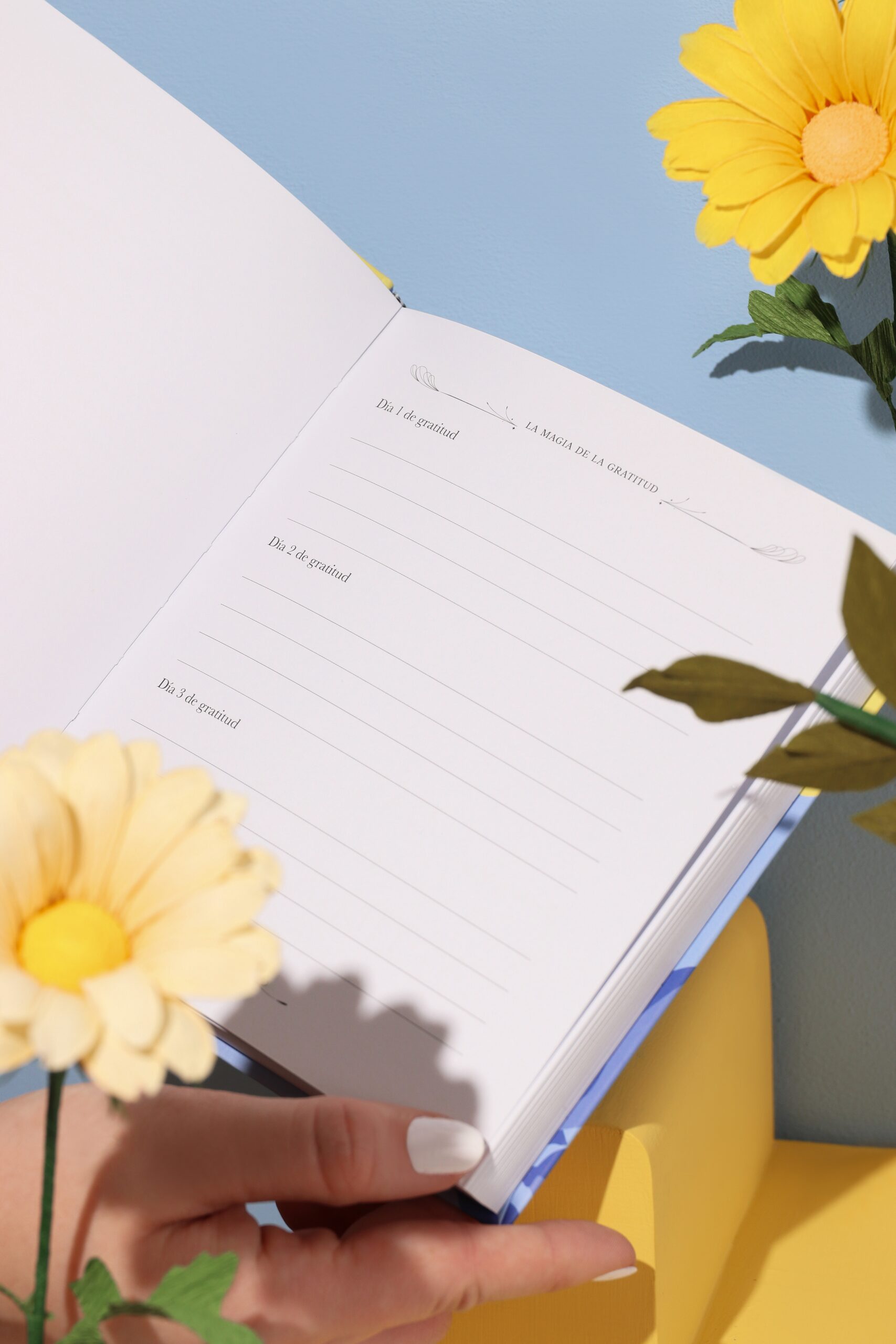 LA MAGIA DE LA GRATITUD BLUE