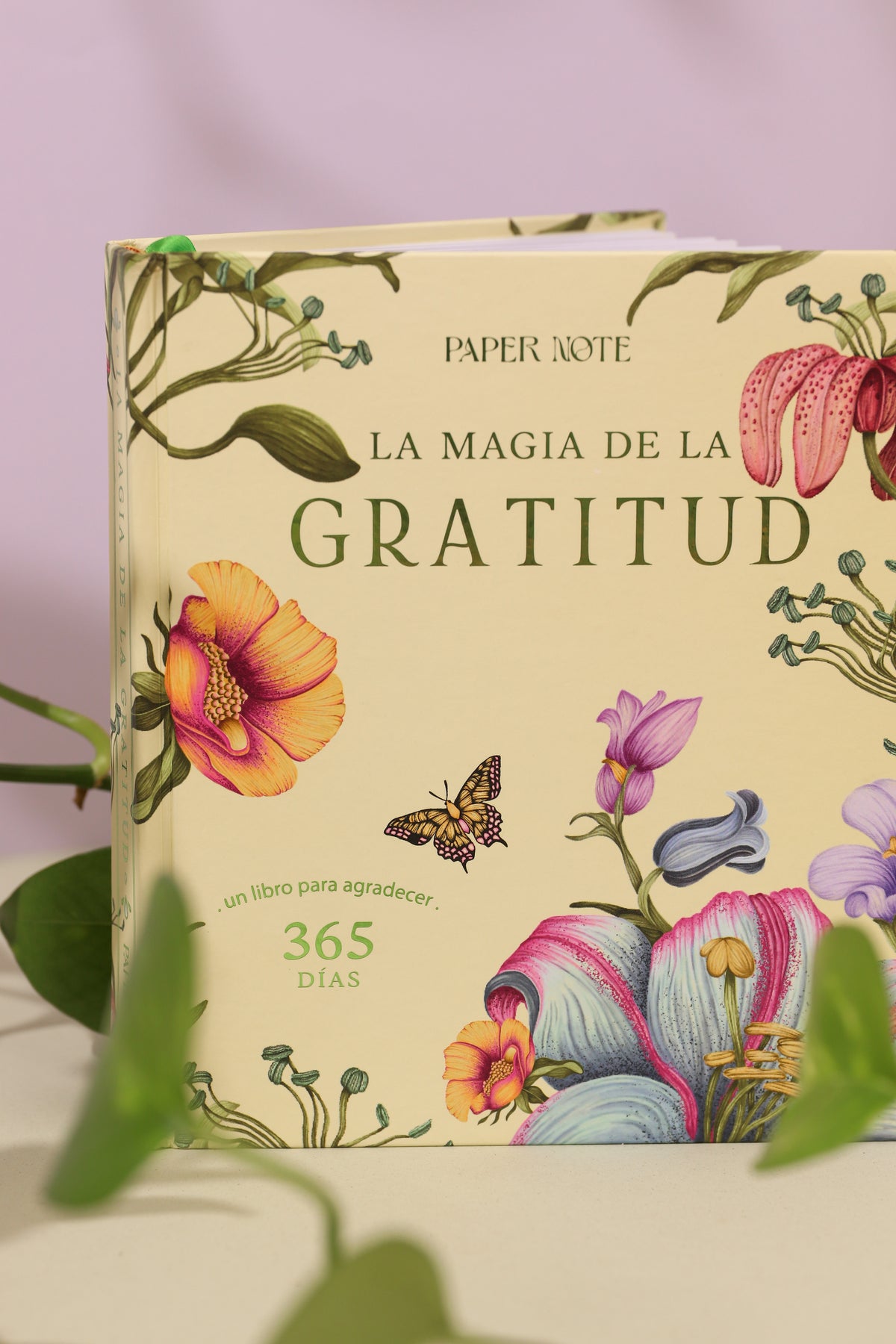 LA MAGIA DE LA GRATITUD GARDEN