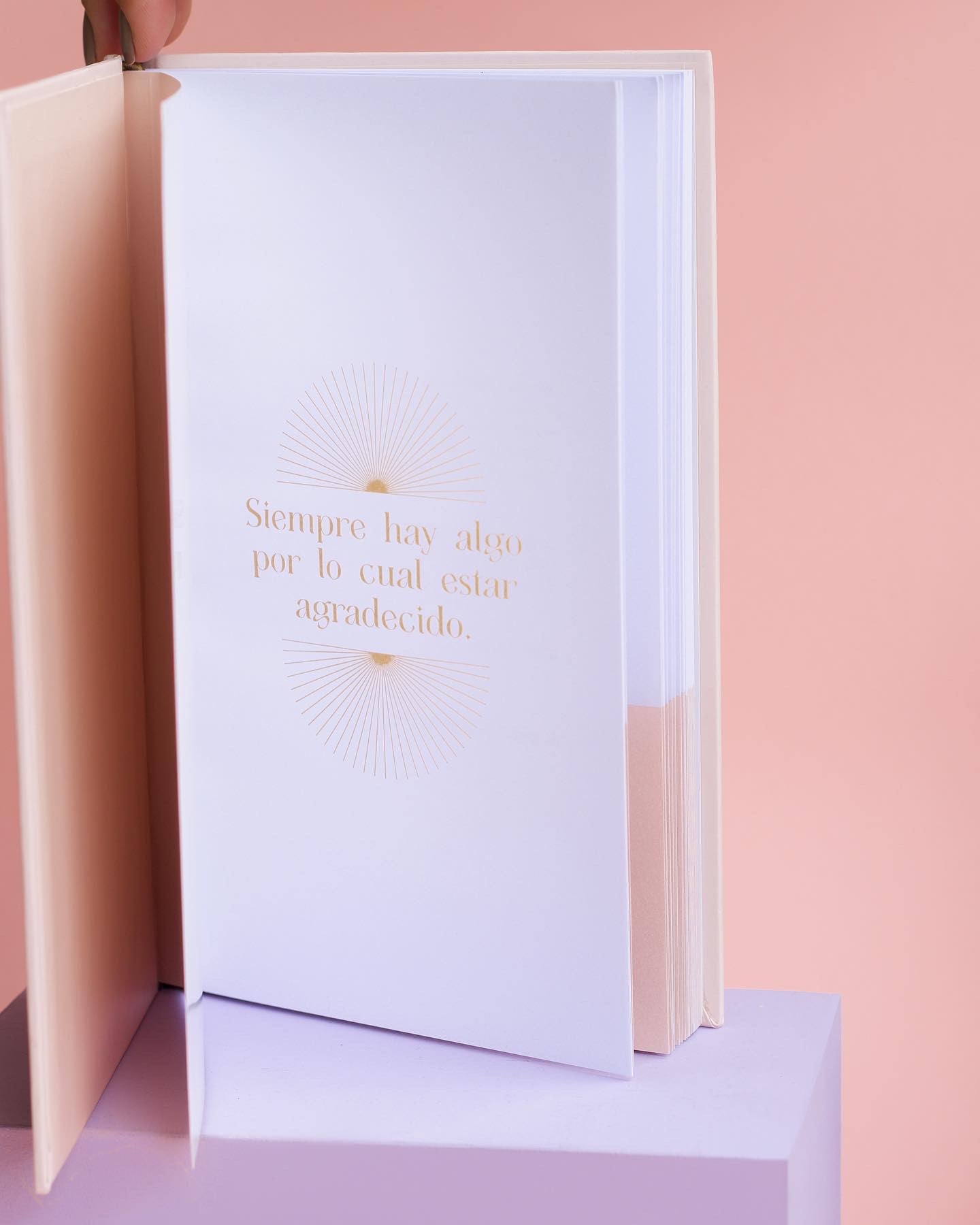 Ser agradecido nude - Journal de gratitud